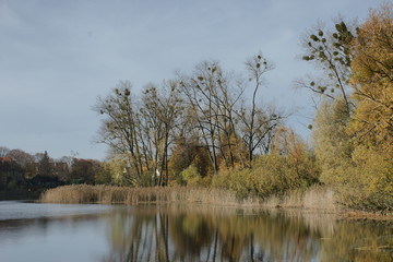 Fototapeta premium Jezioro Długie w Olsztynie