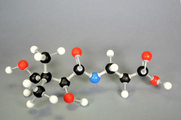 Molecule model of Vitamin B5. White is Hydrogen, black is Carbon, red is Oxygen and blue Nitrogen