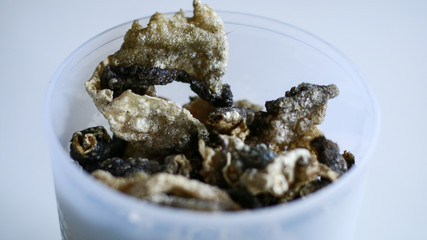 Fish skin crackers on white background. Made from patin fish. 