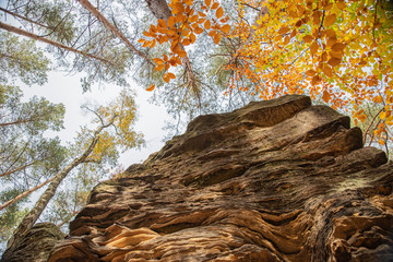 Jesień korony drzew na skale © Marcin Kumorek