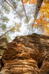 Jesień korony drzew na skale © Marcin Kumorek