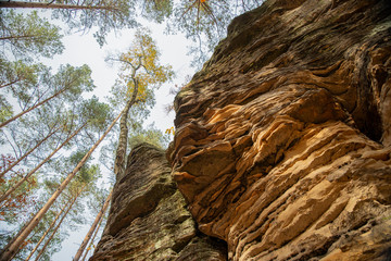 Jesień korony drzew na skale © Marcin Kumorek