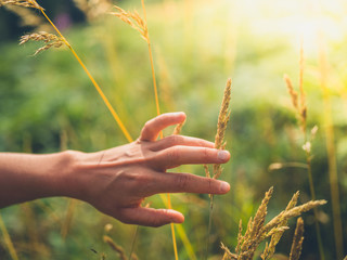 The hand of a young woman touching grass in field