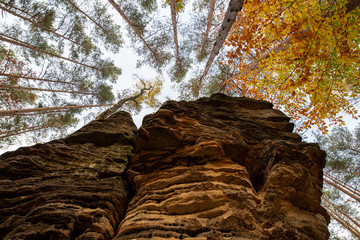 Jesień korony drzew na skale © Marcin Kumorek