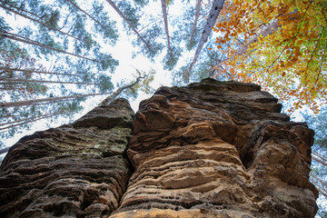 Jesień korony drzew na skale