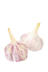 Fresh garlic isolated on white background