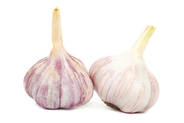 Fresh garlic isolated on white background
