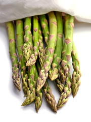 Fresh asparagus on white background