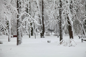 Winter in town. Snow covered City Park in the central part of town. City park under the snow