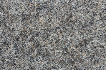 Extruded hair felt closeup background texture. sheep wool for felt boots