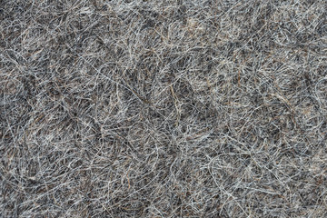 Extruded hair felt closeup background texture. sheep wool for felt boots