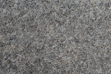 Extruded hair felt closeup background texture. sheep wool for felt boots