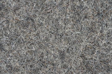 Extruded hair felt closeup background texture. sheep wool for felt boots