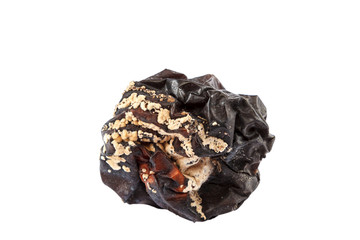 Obraz premium Rotten apple isolated on a white background