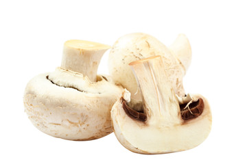 Fototapeta na wymiar Fresh mushrooms champignons on white background.