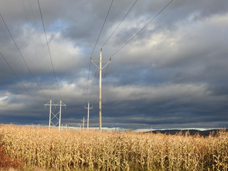 A power line in a field in autumn
