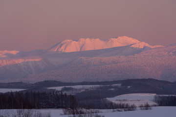Fototapeta premium 夕日を反射する冬の山並み 十勝岳連峰