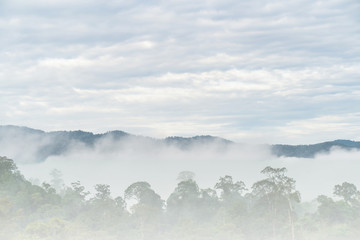 Good Morning mist background sky, Misty beautiful mountain in the Golden Mountain Bright green, abundant in Narathiwat Thailand.