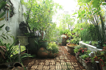 Small garden in a limited area. A small garden in the city on the roof of a commercial building.