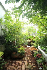 A small garden in the city on the roof of a commercial building. Small garden in a limited area.