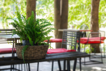 Fototapeta premium Wooden outdoors seats in summer garden