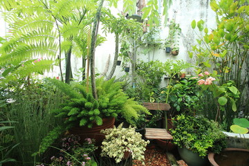 A small garden in the city on the roof of a commercial building. Small garden in a limited area.