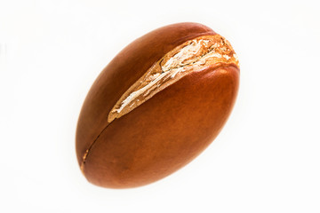 Argan nut on white background