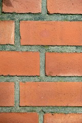 Obraz premium Backsteinwand Nahaufnahme