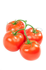Branch of fresh red tomatoes isolated on white background.