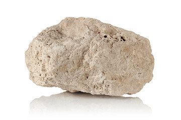 porous stone, a fragment of limestone