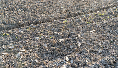 Soil clods. Plowed field. Plowed land.