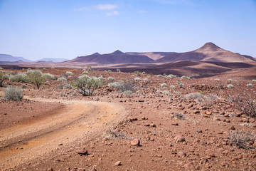 Fototapeta na wymiar Piste au milieu du paysage aride du désert du Damaraland en Namibie - Afrique