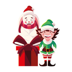rabbit and elf with gift box in white background