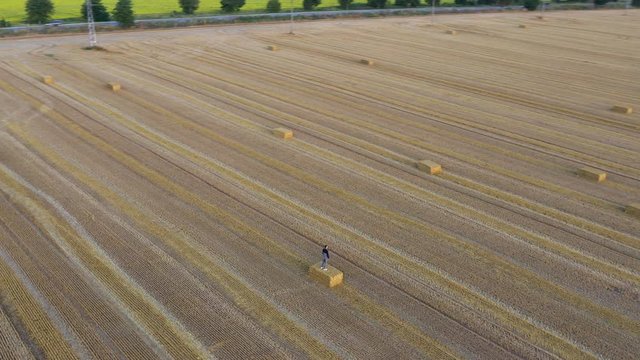 Man on a haystack in a harvested wheat field looks, aerial circle shot