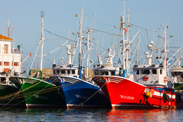 Bermeo fishing port, Bermeo, Bizkaia, Basque Country, Spain, Europe 