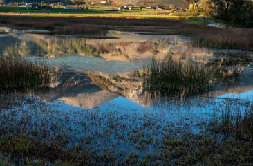 Mount Miletto reflected in Lake Matese with semi-immersed aquatic plants. Matese national park, Italy