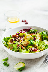 Fried brussels sprouts salad with quinoa, cranberries and nuts in white bowl. Healthy vegan food concept.