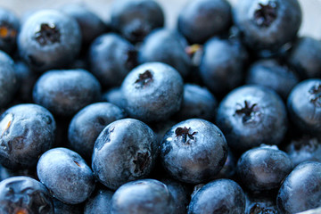 Background with fresh blueberries closeup. Blueberry macro photography. Organic berries of bright blue color. Template for banner, menu, food label, organic shop, garden harvesting. Healthy eating
