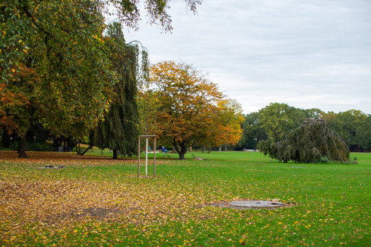 Pictures of Autumn in the Park.