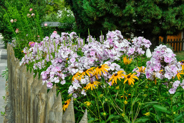 colorful flowers along the street in the mountain