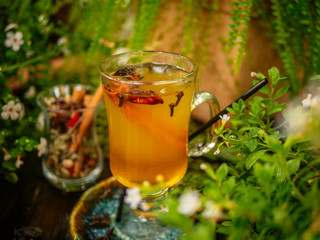 Hot mulled wine in a glass goblet with cinnamon sticks. Vegetation around