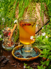 Hot mulled wine in a glass goblet with cinnamon sticks. Vegetation around