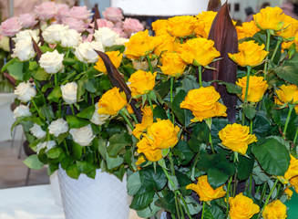 roses flowers in a bouquet