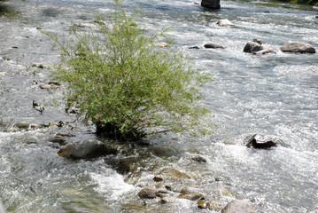 fast flowing water in the mountains