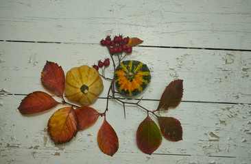 Fototapeta na wymiar Kürbisse mit bunten Blättern