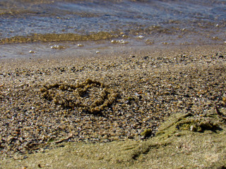 heart on the beach