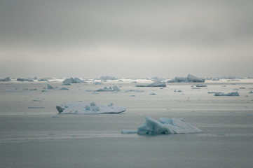 Several drifting icebergs broken from a glacier due to climate change can be seen in arctic waters.Image