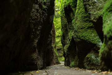 eisenach drachenschlucht