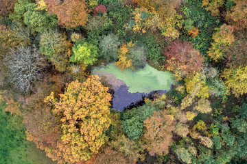 Colorful Danish autumn forest seen from above