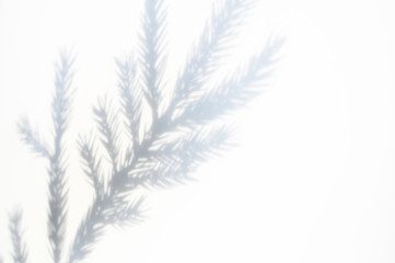shadow from a christmas tree branch on a white-gray background of a textured surface of a wall or table. space for text
